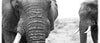 African Elephant Coffee Mug