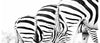 Zebra Back Ceramic Coffee Mug