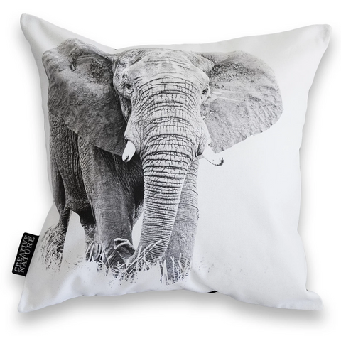 Cushion Cover SC BW 06 African Elephant