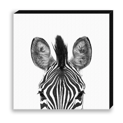 CANVAS 30*30 BW12 Zebra