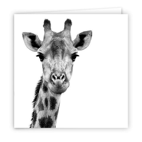 Large Greeting Card GC100 Giraffe