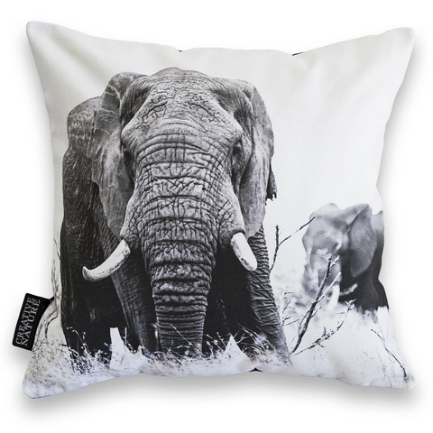 Cushion Cover SC BW 12 African Elephant