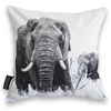 Cushion Cover SC BW 12 African Elephant