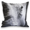 Cushion Cover SC BW 07 White Rhinoceros