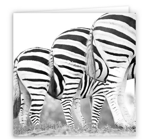 Large Greeting Card GC137 Zebra