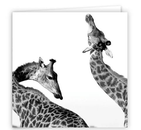 Large Greeting Card GC140 Giraffe