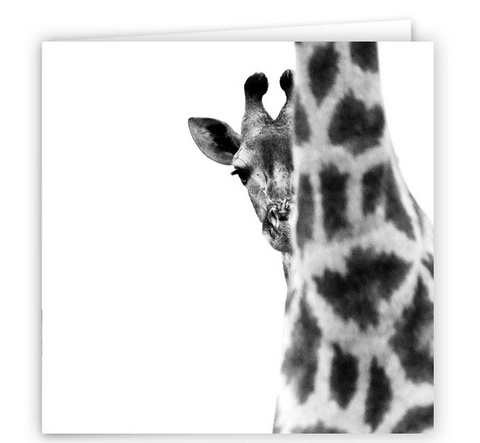 Large Greeting Card GC123 Giraffe